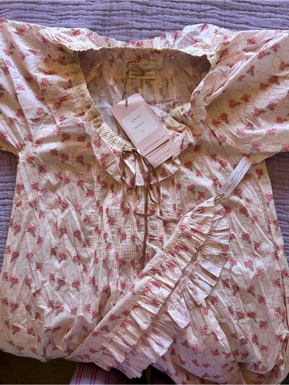 Christy Dawn Inez Dress In Blush Bouquet - Picture 10 of 10